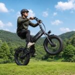 CHEEVALRY E-Bike Klapprad 20 Zoll Fat Tire, 48V 20Ah Akku 120km, 250W Motor 60Nm, Vollfederung – Bild 4