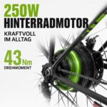 E-Bike 26 Zoll Tiefeinstieg 36V 20Ah 120km 250W Pedelec 43Nm 7-Gang Scheibenbremsen Federgabel weiß – Bild 3