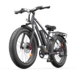 E-Mountainbike 26 Zoll 250W 48V 20AH 100-120km Reichweite hydraulische Scheibenbremsen 150kg